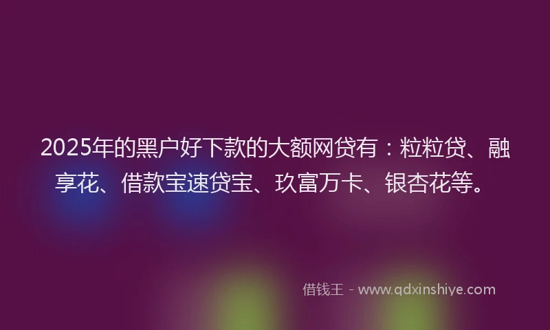 2025年的黑户好下款的大额网贷有：粒粒贷、融享花、借款宝速贷宝、玖富万卡、银杏花等。