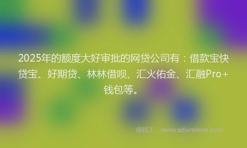 2025年的额度大好审批的网贷公司有：借款宝快贷宝、好期贷、林林借呗、汇火佑金、汇融Pro+钱包等。