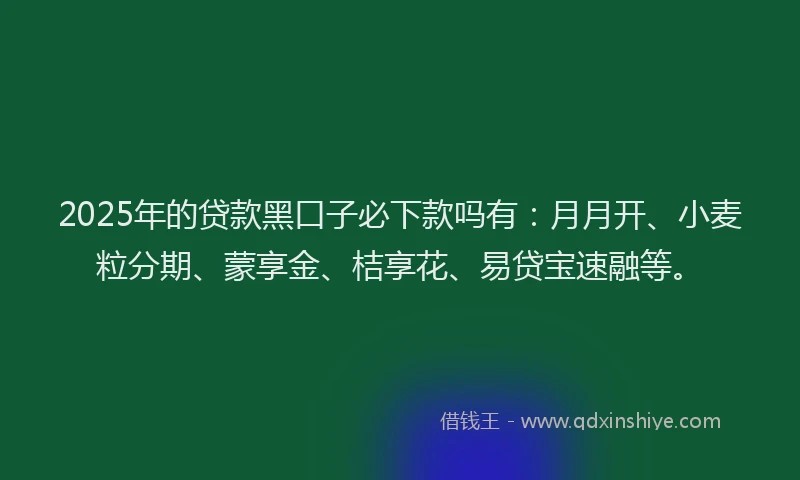 2025年的贷款黑口子必下款吗有：月月开、小麦粒分期、蒙享金、桔享花、易贷宝速融等。