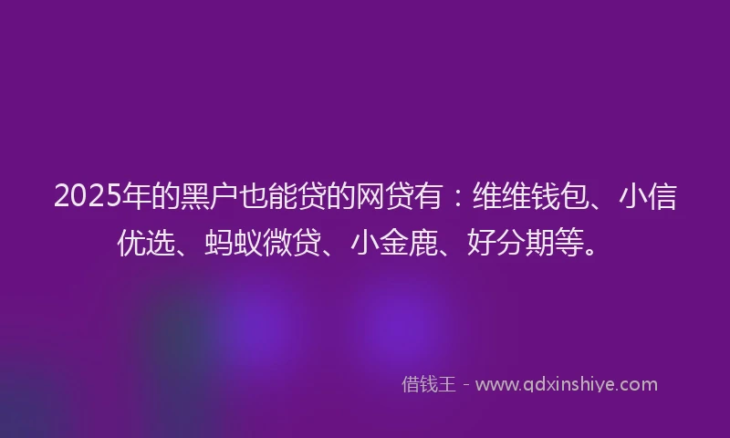 2025年的黑户也能贷的网贷有：维维钱包、小信优选、蚂蚁微贷、小金鹿、好分期等。
