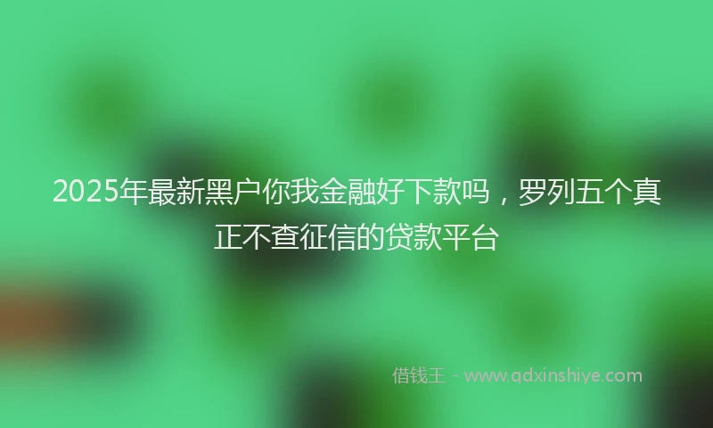 2025年最新黑户你我金融好下款吗，罗列五个真正不查征信的贷款平台