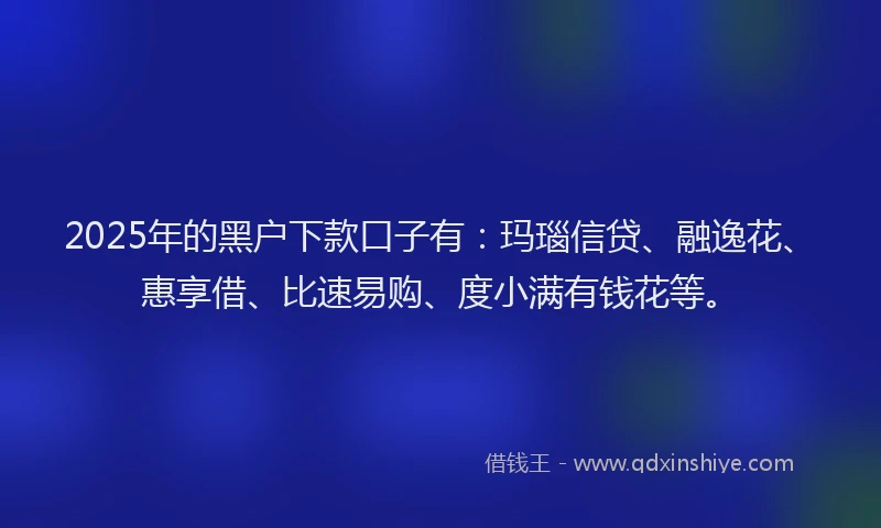 2025年的黑户下款口子有：玛瑙信贷、融逸花、惠享借、比速易购、度小满有钱花等。