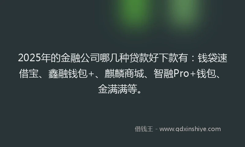 2025年的金融公司哪几种贷款好下款有：钱袋速借宝、鑫融钱包+、麒麟商城、智融Pro+钱包、金满满等。