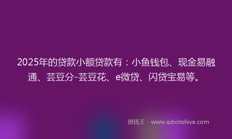 2025年的贷款小额贷款有：小鱼钱包、现金易融通、芸豆分-芸豆花、e微贷、闪贷宝易等。