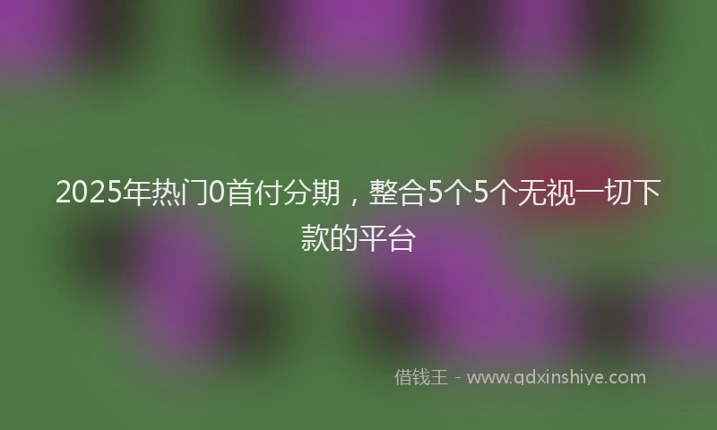 2025年热门0首付分期，整合5个5个无视一切下款的平台