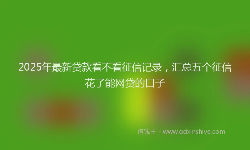 2025年最新贷款看不看征信记录，汇总五个征信花了能网贷的口子