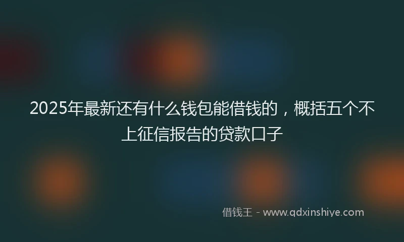 2025年最新还有什么钱包能借钱的，概括五个不上征信报告的贷款口子