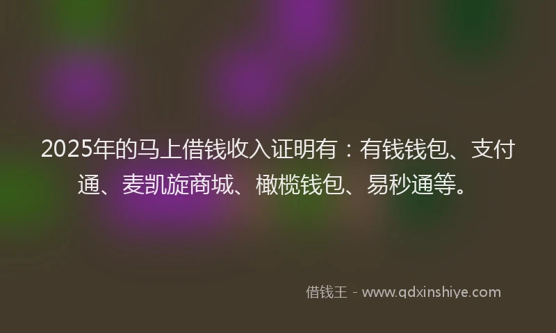 2025年的马上借钱收入证明有：有钱钱包、支付通、麦凯旋商城、橄榄钱包、易秒通等。