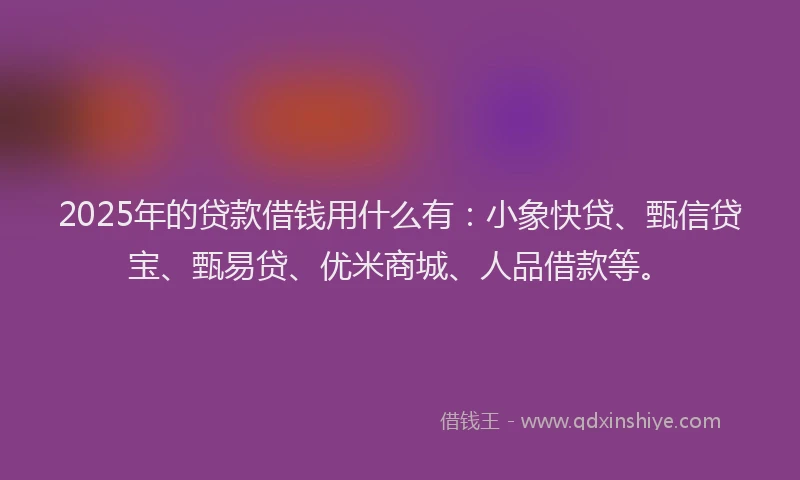 2025年的贷款借钱用什么有：小象快贷、甄信贷宝、甄易贷、优米商城、人品借款等。