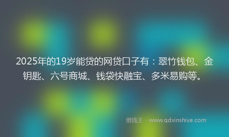 2025年的19岁能贷的网贷口子有：翠竹钱包、金钥匙、六号商城、钱袋快融宝、多米易购等。