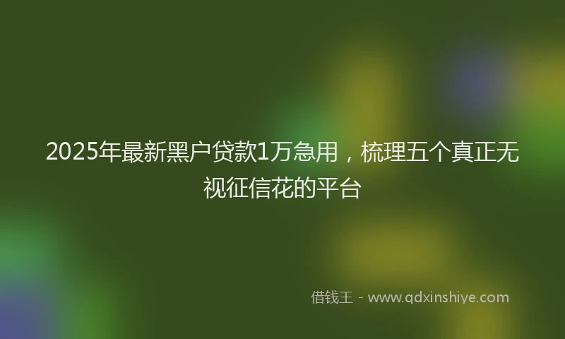 2025年最新黑户贷款1万急用，梳理五个真正无视征信花的平台