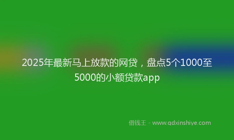 2025年最新马上放款的网贷，盘点5个1000至5000的小额贷款app