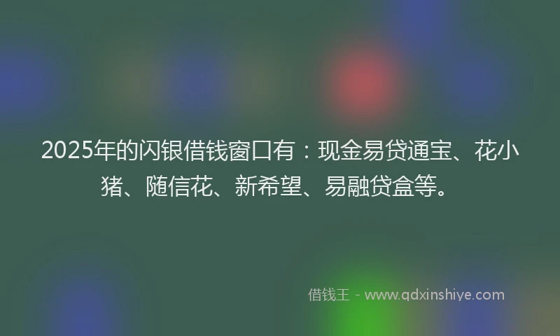 2025年的闪银借钱窗口有：现金易贷通宝、花小猪、随信花、新希望、易融贷盒等。