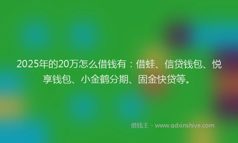2025年的20万怎么借钱有：借蛙、信贷钱包、悦享钱包、小金鹤分期、固金快贷等。
