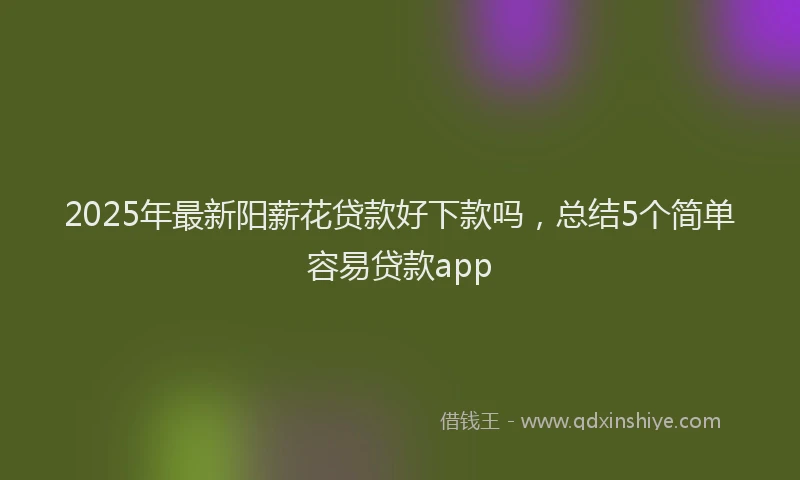 2025年最新阳薪花贷款好下款吗，总结5个简单容易贷款app
