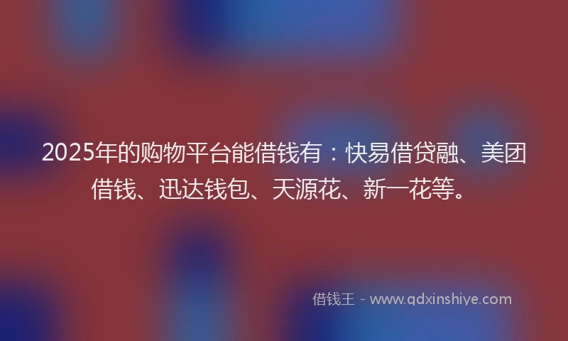 2025年的购物平台能借钱有：快易借贷融、美团借钱、迅达钱包、天源花、新一花等。