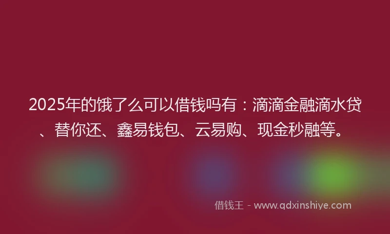 2025年的饿了么可以借钱吗有：滴滴金融滴水贷、替你还、鑫易钱包、云易购、现金秒融等。