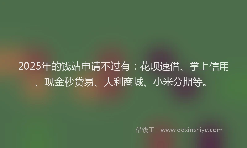 2025年的钱站申请不过有：花呗速借、掌上信用、现金秒贷易、大利商城、小米分期等。