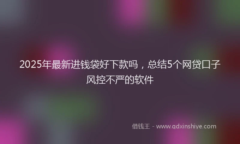 2025年最新进钱袋好下款吗，总结5个网贷口子风控不严的软件