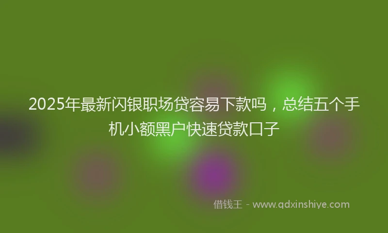 2025年最新闪银职场贷容易下款吗，总结五个手机小额黑户快速贷款口子