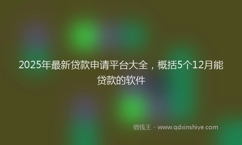 2025年最新贷款申请平台大全，概括5个12月能贷款的软件
