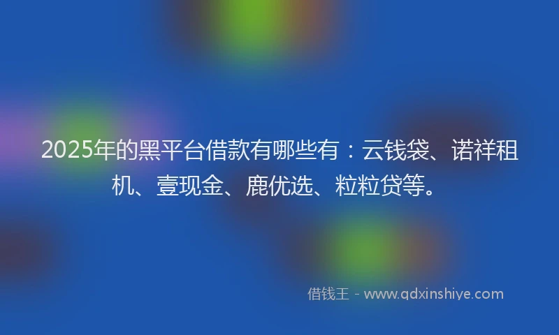 2025年的黑平台借款有哪些有：云钱袋、诺祥租机、壹现金、鹿优选、粒粒贷等。