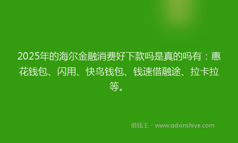 2025年的海尔金融消费好下款吗是真的吗有：惠花钱包、闪用、快鸟钱包、钱速借融途、拉卡拉等。