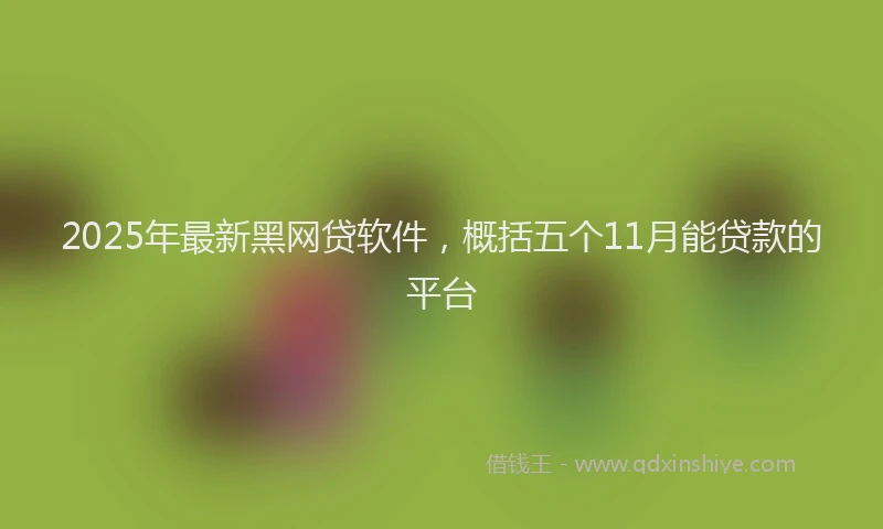 2025年最新黑网贷软件，概括五个11月能贷款的平台