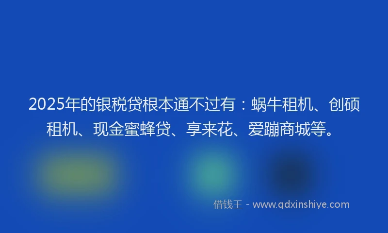 2025年的银税贷根本通不过有：蜗牛租机、创硕租机、现金蜜蜂贷、享来花、爱蹦商城等。