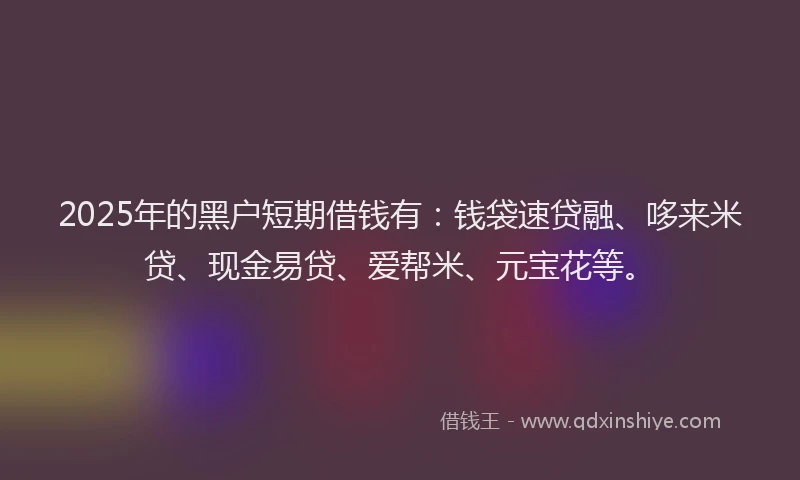 2025年的黑户短期借钱有：钱袋速贷融、哆来米贷、现金易贷、爱帮米、元宝花等。