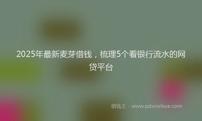 2025年最新麦芽借钱，梳理5个看银行流水的网贷平台