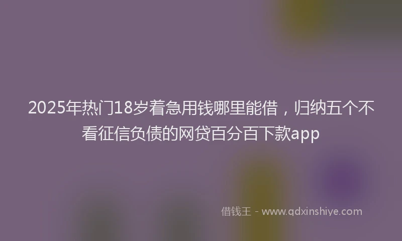 2025年热门18岁着急用钱哪里能借，归纳五个不看征信负债的网贷百分百下款app