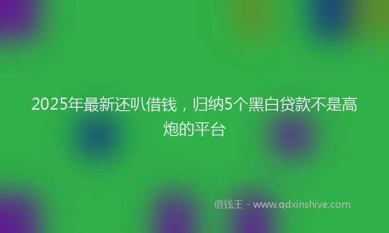 2025年最新还叭借钱，归纳5个黑白贷款不是高炮的平台