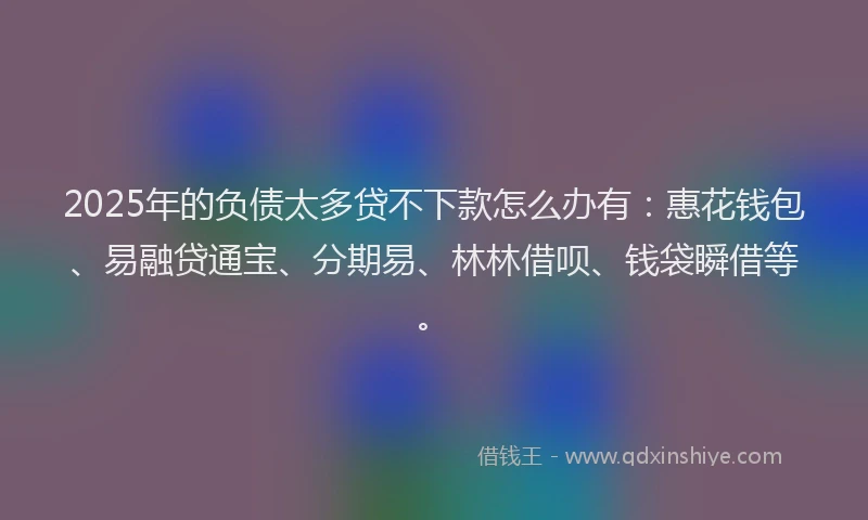 2025年的负债太多贷不下款怎么办有：惠花钱包、易融贷通宝、分期易、林林借呗、钱袋瞬借等。