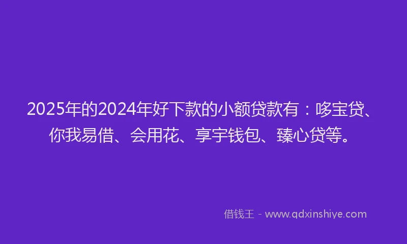 2025年的2024年好下款的小额贷款有：哆宝贷、你我易借、会用花、享宇钱包、臻心贷等。