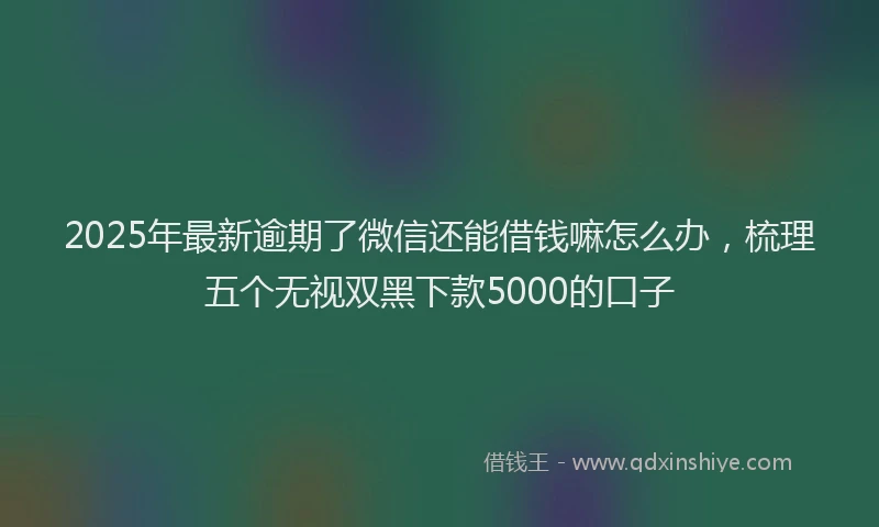 2025年最新逾期了微信还能借钱嘛怎么办，梳理五个无视双黑下款5000的口子