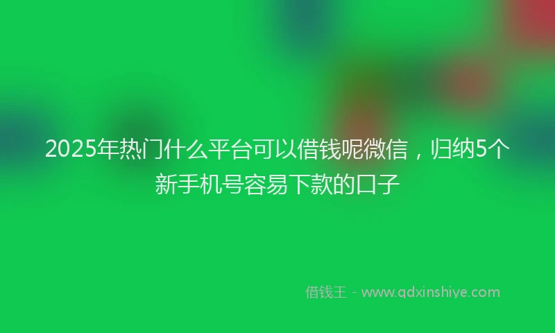 2025年热门什么平台可以借钱呢微信，归纳5个新手机号容易下款的口子