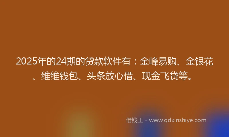 2025年的24期的贷款软件有：金峰易购、金银花、维维钱包、头条放心借、现金飞贷等。