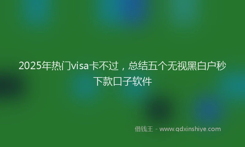 2025年热门visa卡不过，总结五个无视黑白户秒下款口子软件