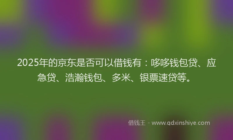 2025年的京东是否可以借钱有：哆哆钱包贷、应急贷、浩瀚钱包、多米、银票速贷等。