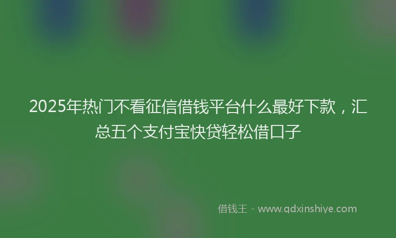 2025年热门不看征信借钱平台什么最好下款，汇总五个支付宝快贷轻松借口子