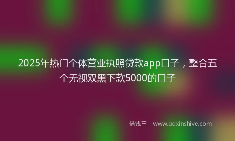 2025年热门个体营业执照贷款app口子，整合五个无视双黑下款5000的口子