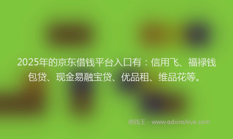 2025年的京东借钱平台入口有：信用飞、福禄钱包贷、现金易融宝贷、优品租、维品花等。