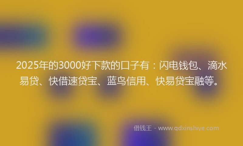 2025年的3000好下款的口子有：闪电钱包、滴水易贷、快借速贷宝、蓝鸟信用、快易贷宝融等。