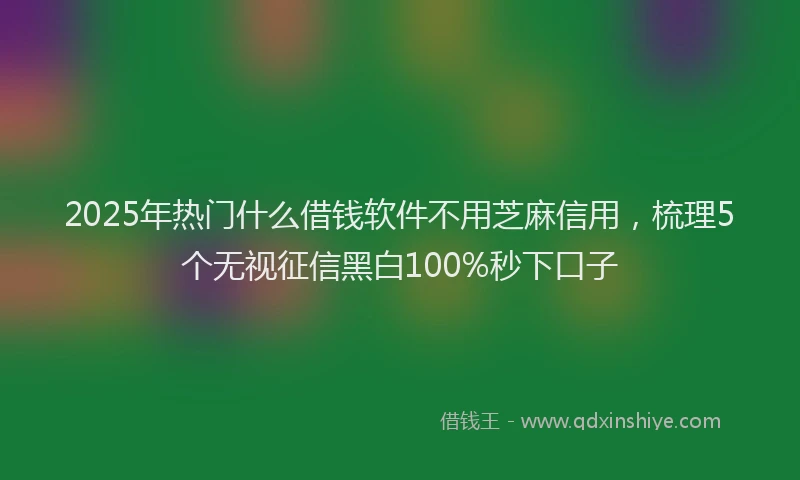 2025年热门什么借钱软件不用芝麻信用，梳理5个无视征信黑白100%秒下口子