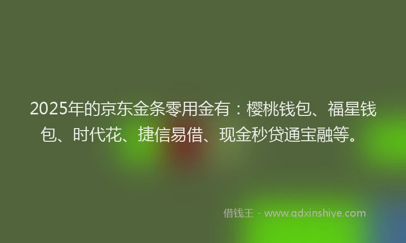 2025年的京东金条零用金有：樱桃钱包、福星钱包、时代花、捷信易借、现金秒贷通宝融等。