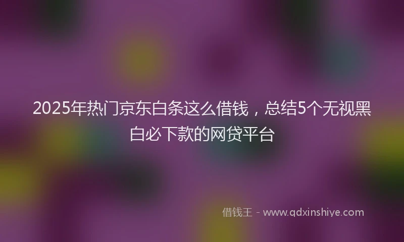 2025年热门京东白条这么借钱，总结5个无视黑白必下款的网贷平台