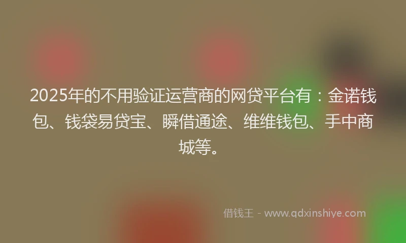2025年的不用验证运营商的网贷平台有：金诺钱包、钱袋易贷宝、瞬借通途、维维钱包、手中商城等。
