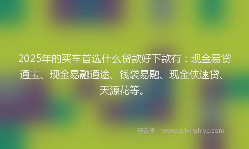 2025年的买车首选什么贷款好下款有：现金易贷通宝、现金易融通途、钱袋易融、现金侠速贷、天源花等。