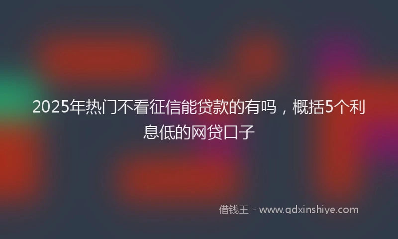 2025年热门不看征信能贷款的有吗，概括5个利息低的网贷口子